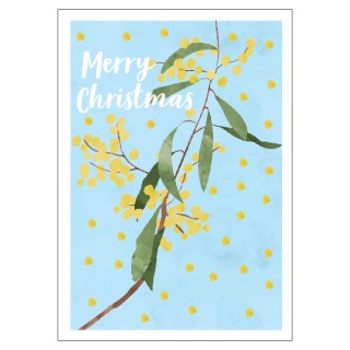 CP345 Wattle Christmas - Printed